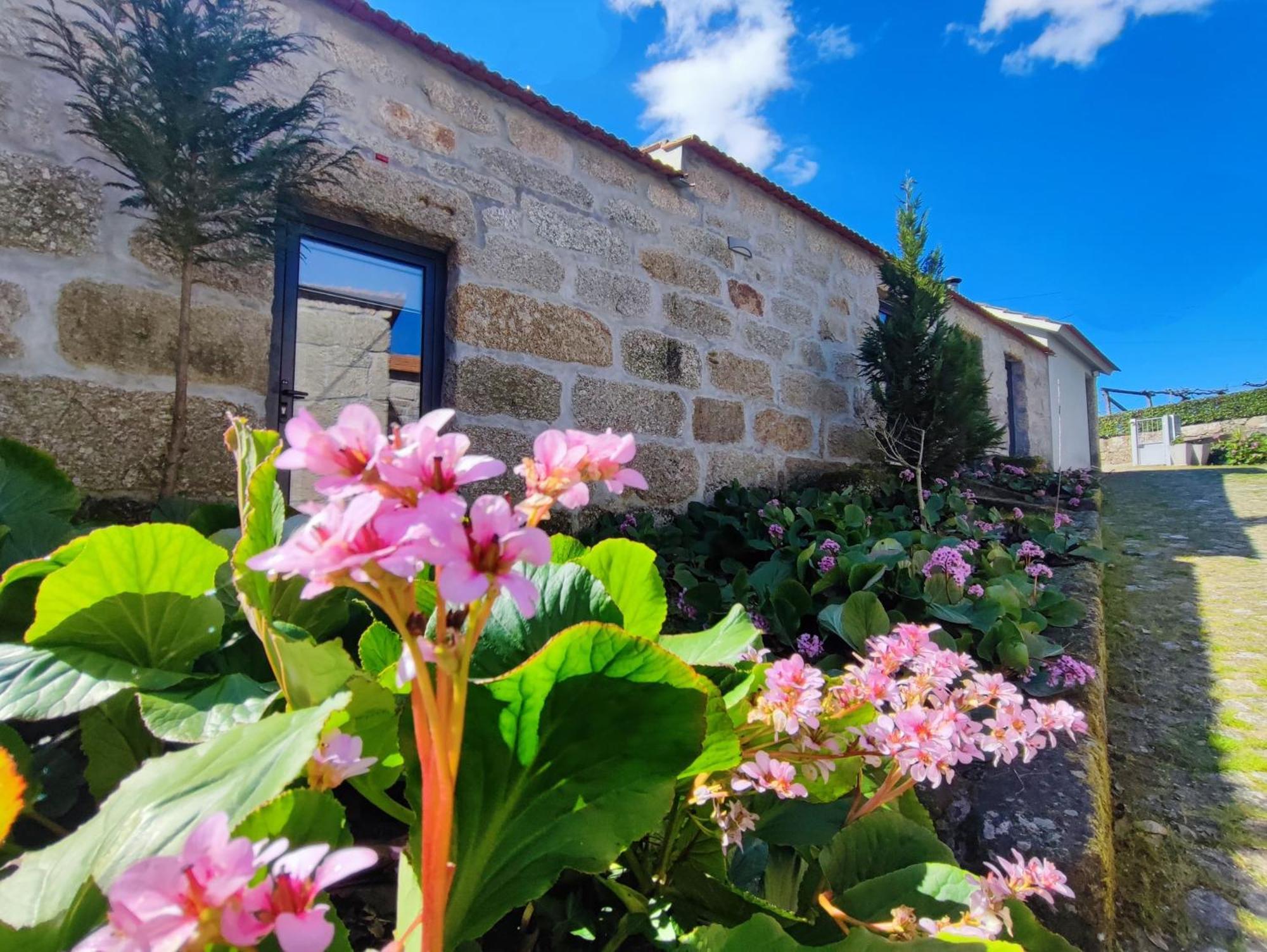Agroturismo Quinta De Travancela Amarante Luaran gambar