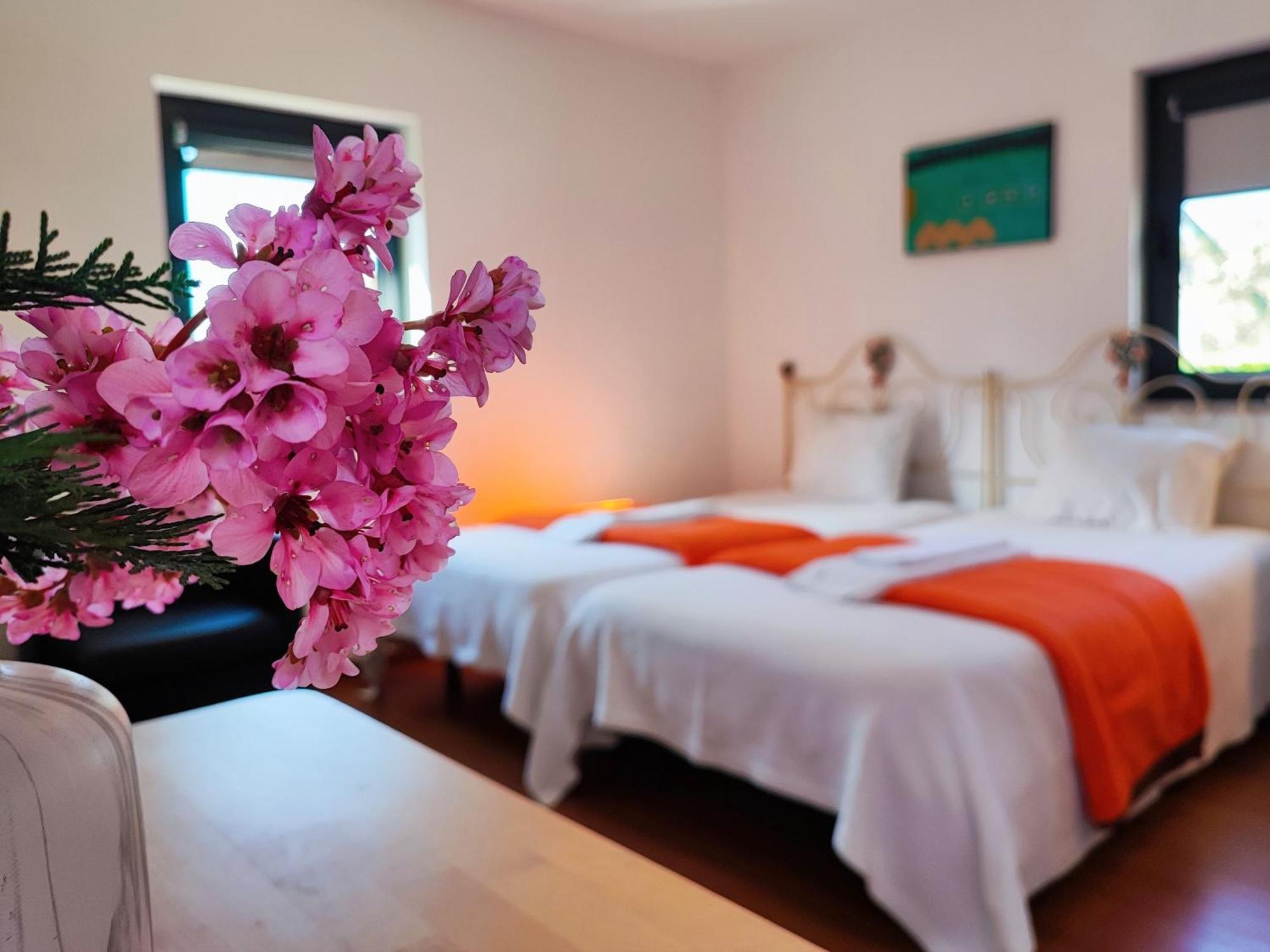 Agroturismo Quinta De Travancela Amarante Luaran gambar