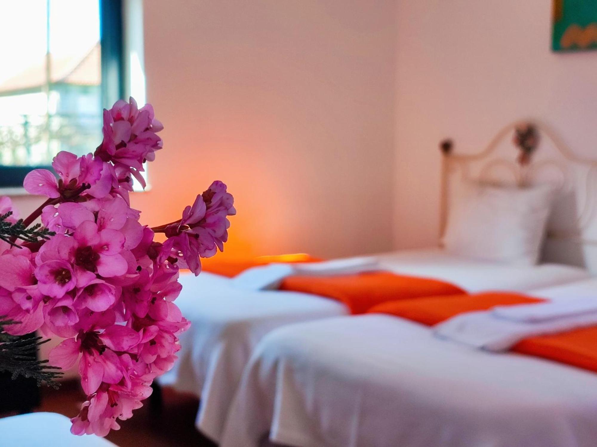 Agroturismo Quinta De Travancela Amarante Luaran gambar