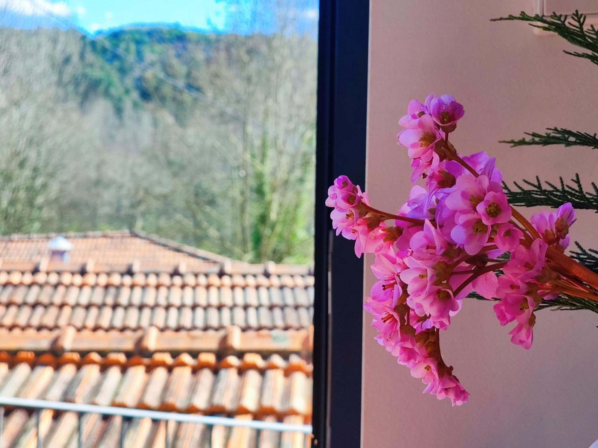 Agroturismo Quinta De Travancela Amarante Luaran gambar
