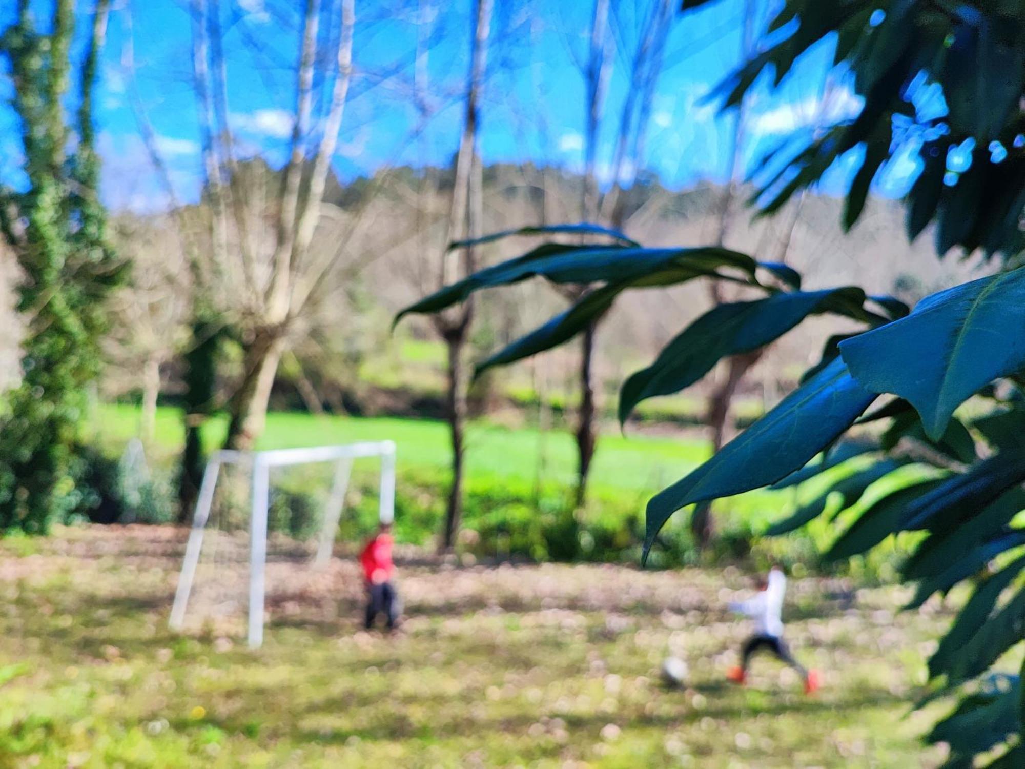 Agroturismo Quinta De Travancela Amarante Luaran gambar
