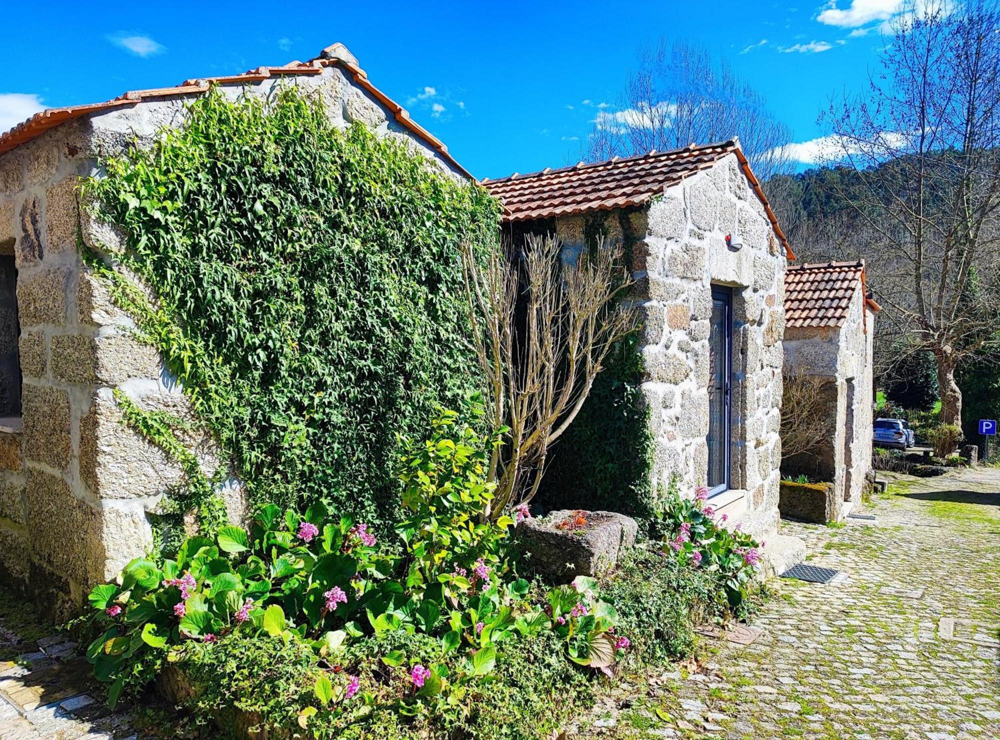 Agroturismo Quinta De Travancela Amarante Luaran gambar