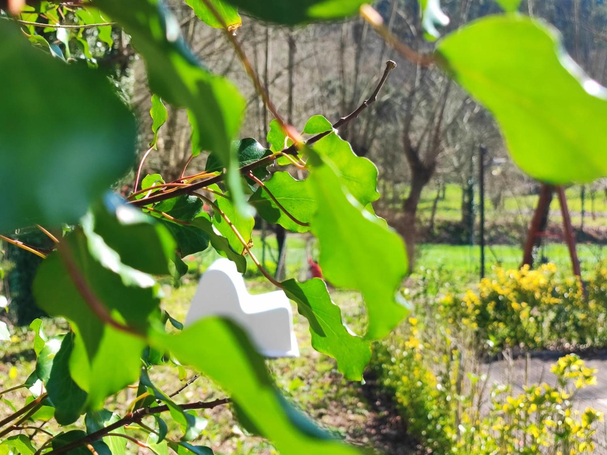Agroturismo Quinta De Travancela Amarante Luaran gambar