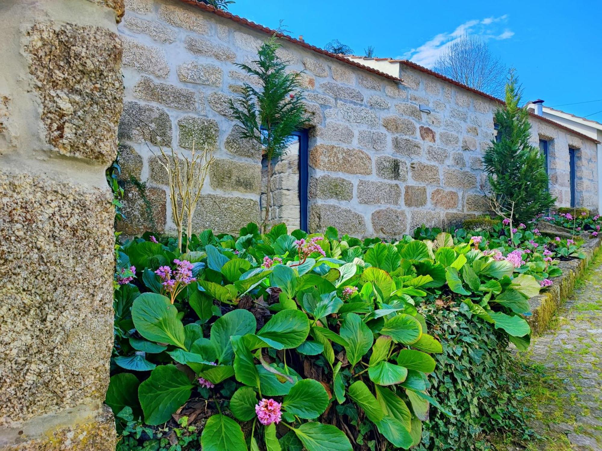 Agroturismo Quinta De Travancela Amarante Luaran gambar