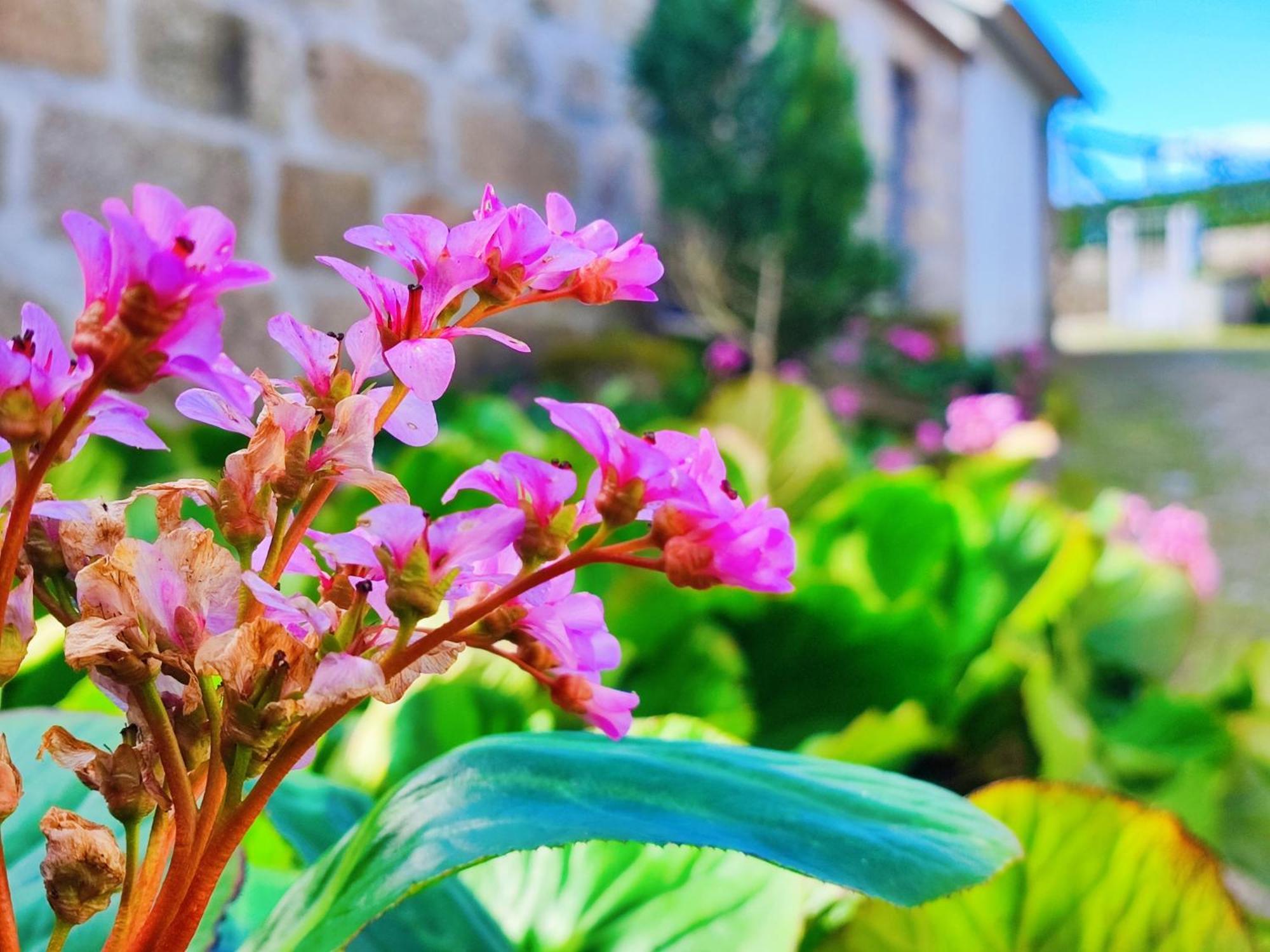 Agroturismo Quinta De Travancela Amarante Luaran gambar